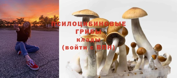 гидра Себеж