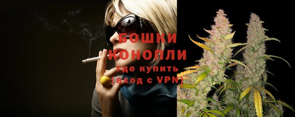 гидра Нижний Тагил