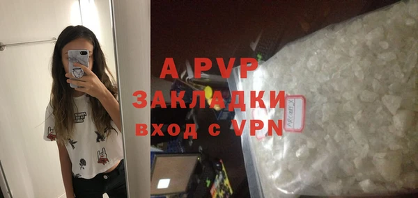 Альфа ПВП Анива