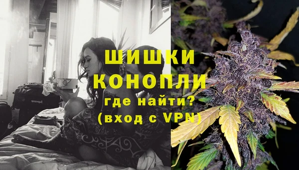 гидра Нижний Тагил