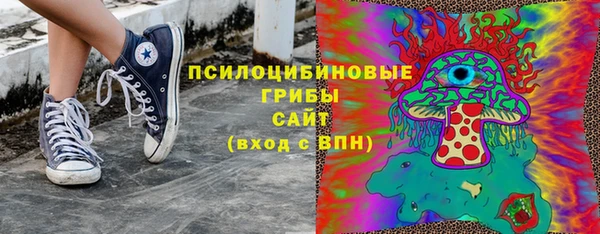 гидра Нижний Тагил