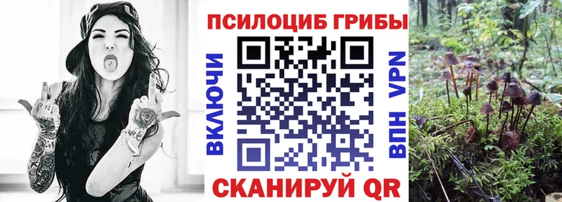 Галлюциногенные грибы мухоморы  купить  сайты  Бабаево 